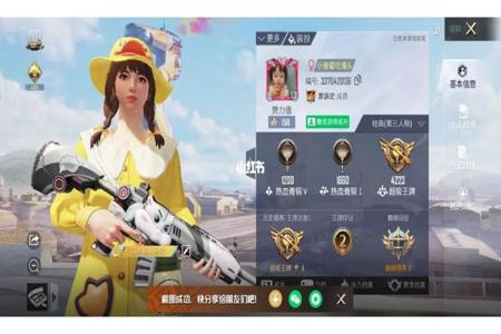 买和平精英的挂的网站（和平精英有直购网站吗）