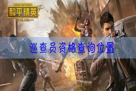 和平精英下单业务平台在哪（和平精英自动下单平台）